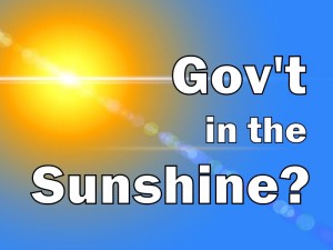 Government in the Sunshine?