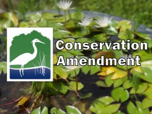 Conservation Amendment title