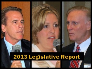 2013 Legislative Report title