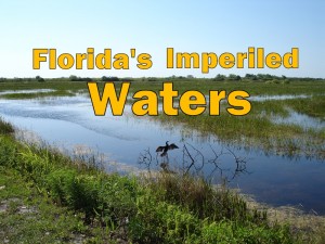 (photo – “Everglades Florida” courtesy Robert S. Flaum)