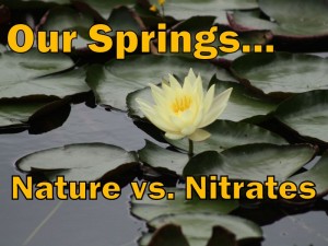 Our Springs title (photo “Waterlilly 3” courtesy Flavio Takemoto)